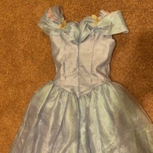 Cinderella costume